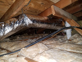 Attic Cleaning in California